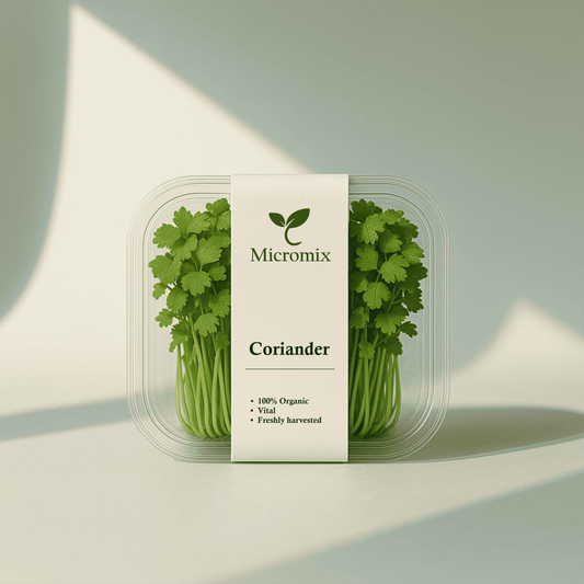 Coriander