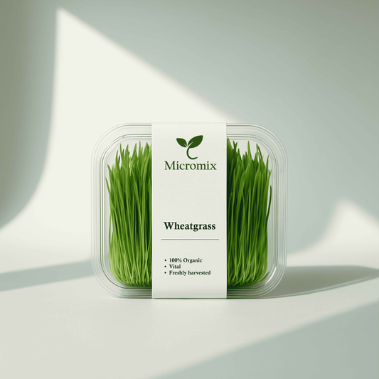 Wheatgrass